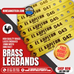 Renesance Brass Legbands