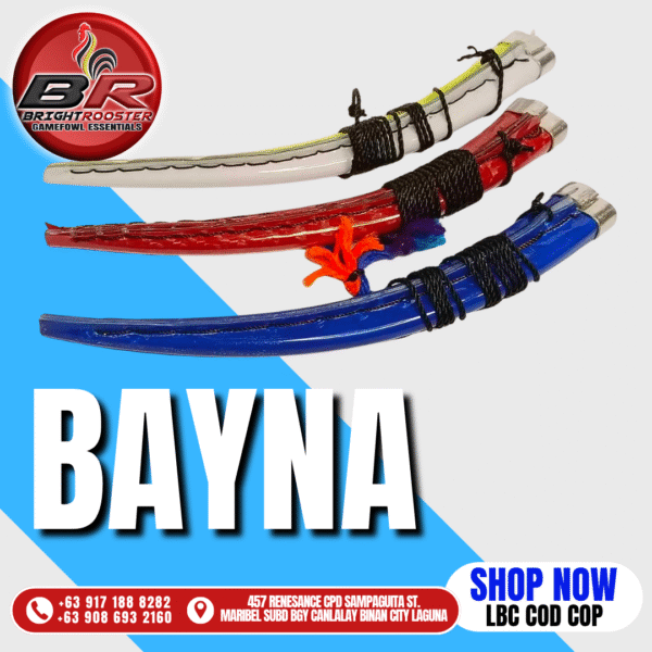 GAFF BAYNA