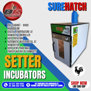 Surehatch Setter Egg Incubators