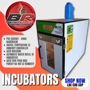 Surehatch Setter Egg Incubators